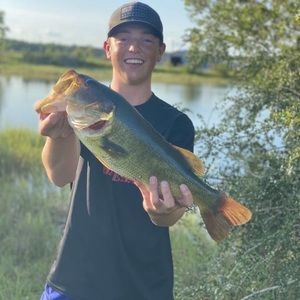 Meet your Posher, Hayden